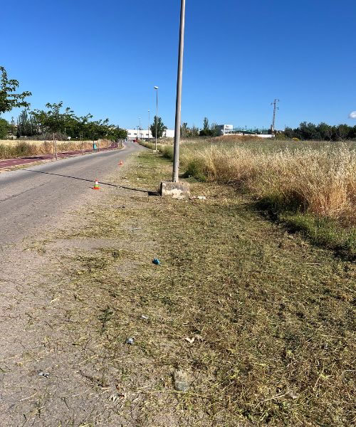 desbroce-de-maleza-en-vias-publicas-y-carreteras