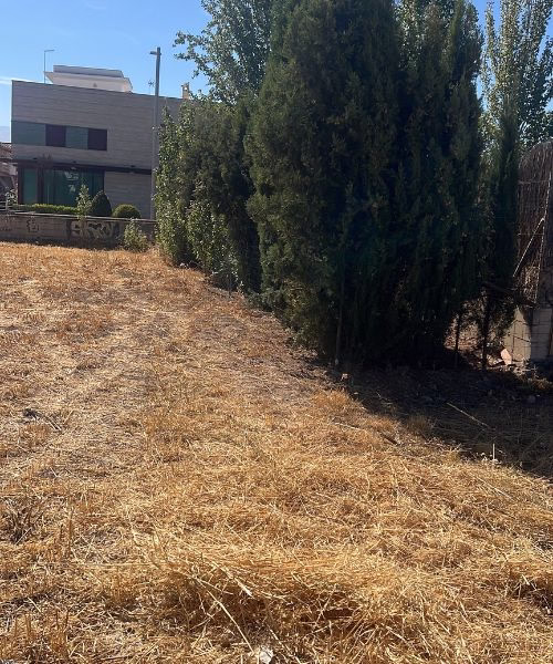 desbroce de fincas y parcelas