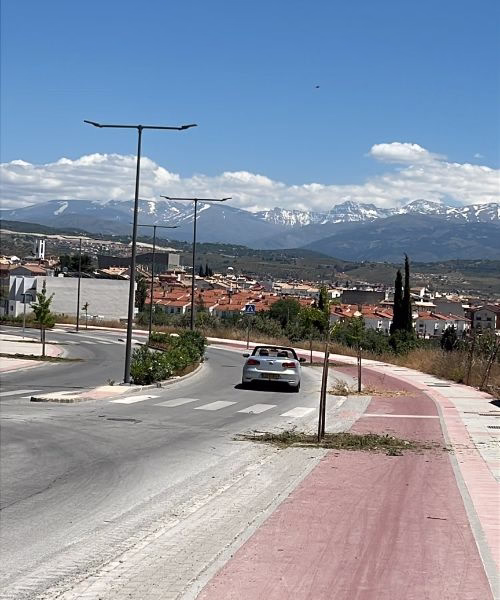 limpieza y conservación de arboles en vías públicas