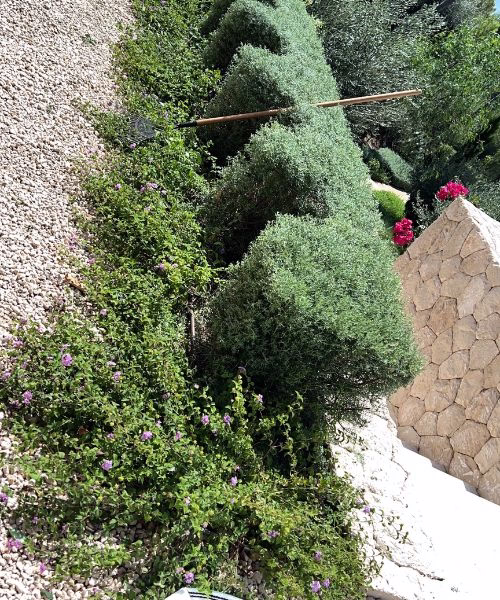 poda de arbusto y diseño de jardin