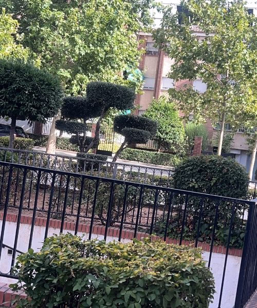 Poda decorativa en urbanizaciones