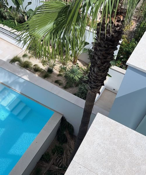 poda de palmeras en altura